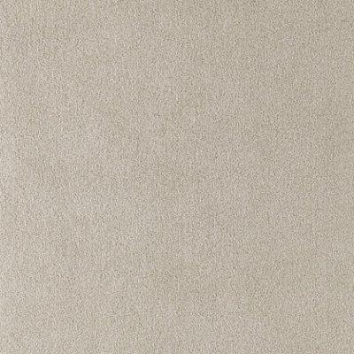 Ткань  Chase Erwin Ultrasuede 5538-3497 