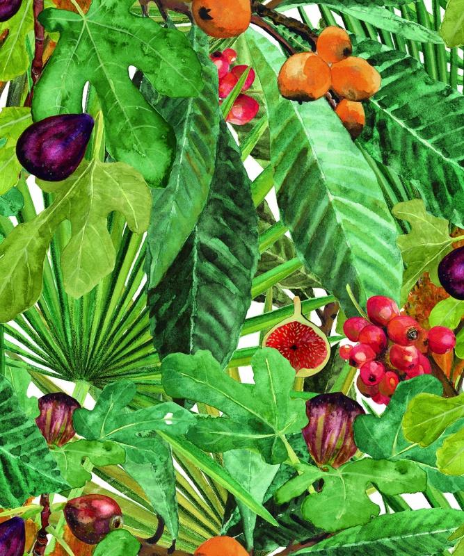 Обои для стен  Coordonne Metamorphosis 8800006 