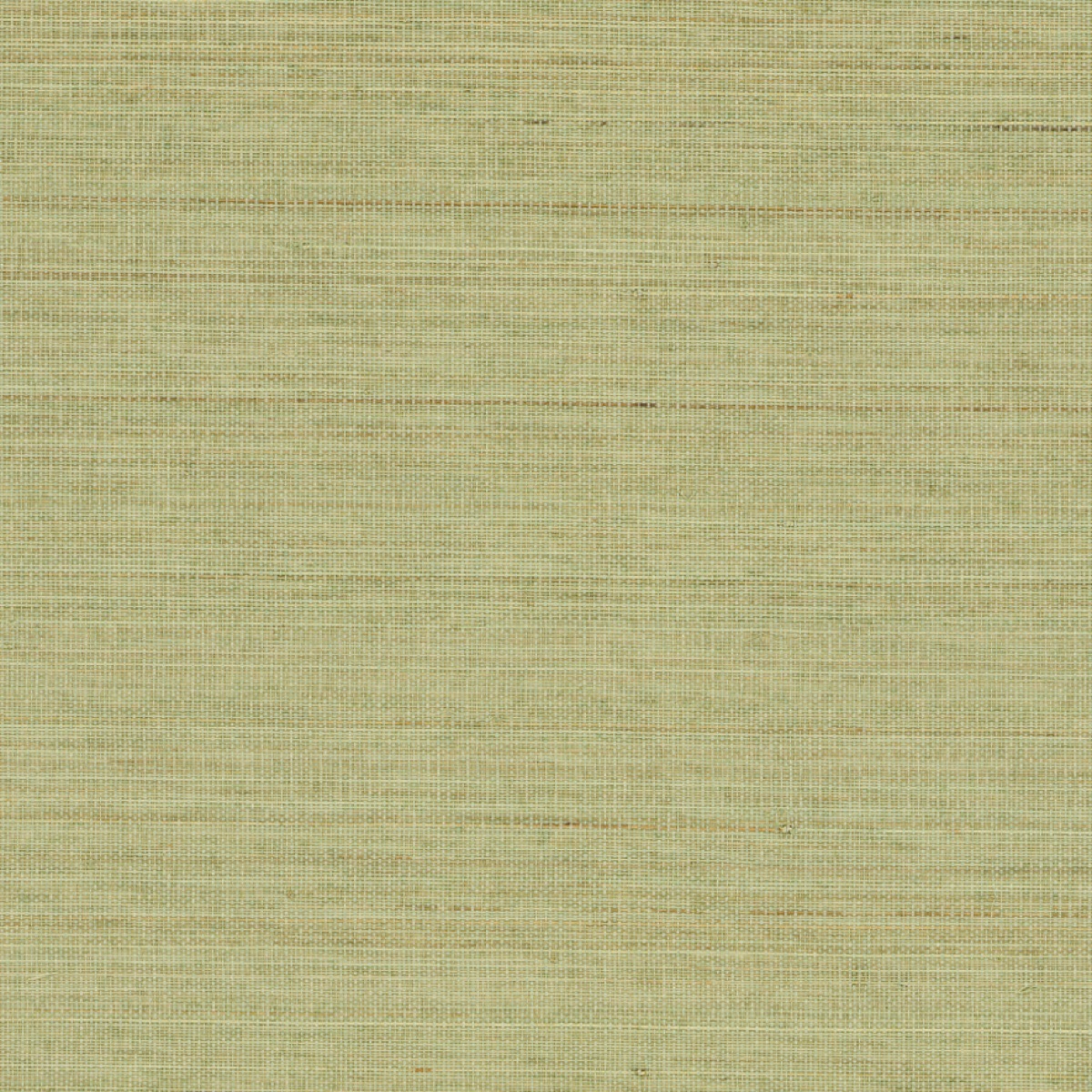 Метражные обои для стен  Nobilis Abaca ABA24 