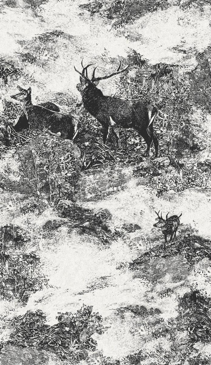 Обои для стен  Architector Sauvage II KT40600 