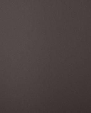 Обои для стен  Bernardo Bartalucci Coco Art 5103_6 