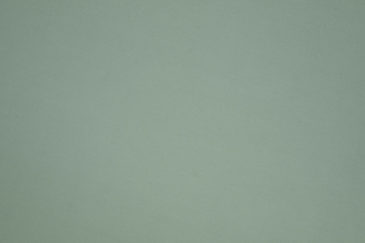 Ткань Lelievre Absolu 3241_10  купить в Москве по выгодной цене|Интернет-магазин дизайнерских решений Decorwall