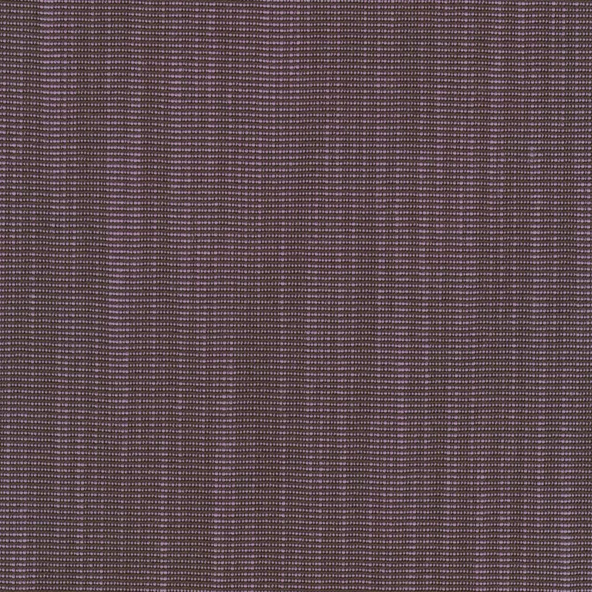 Ткань Kvadrat Raas by Doshi Levien 7913-0672  купить в Москве по выгодной цене|Интернет-магазин дизайнерских решений Decorwall