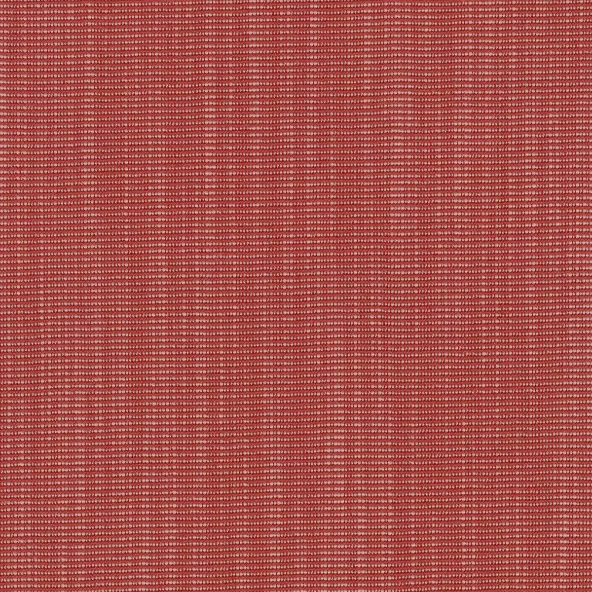 Ткань Kvadrat Raas by Doshi Levien 7913-0562  купить в Москве по выгодной цене|Интернет-магазин дизайнерских решений Decorwall