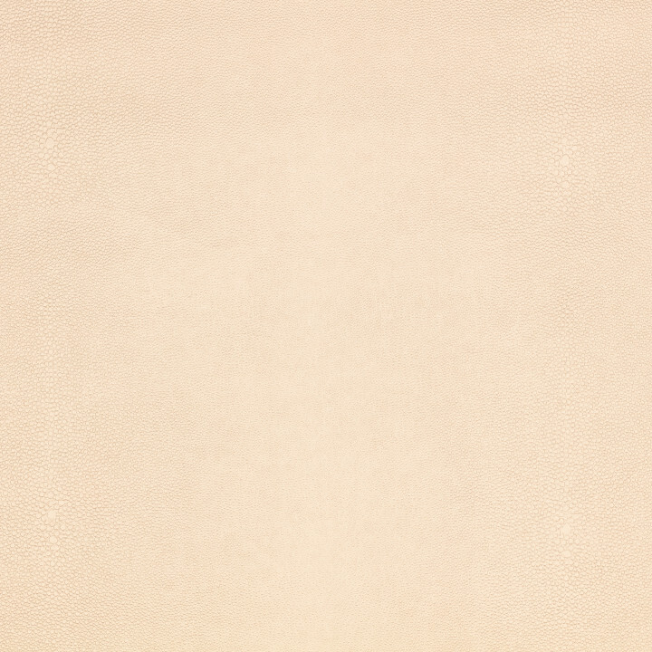 Ткань Kirkby design Hide Vegan Leathers K5357-01  купить в Москве по выгодной цене|Интернет-магазин дизайнерских решений Decorwall