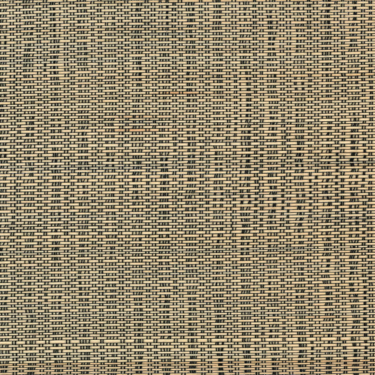 Ткань CMO Paris Palmier CMO_FBU_08_10  купить в Караганде по выгодной цене|Интернет-магазин дизайнерских решений Decorwall