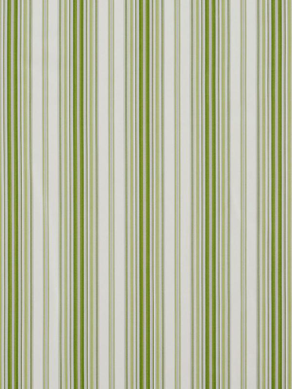 Ткань The Design Archives Spring Garden Garden-Stripe-1008-Celadon-4-1 