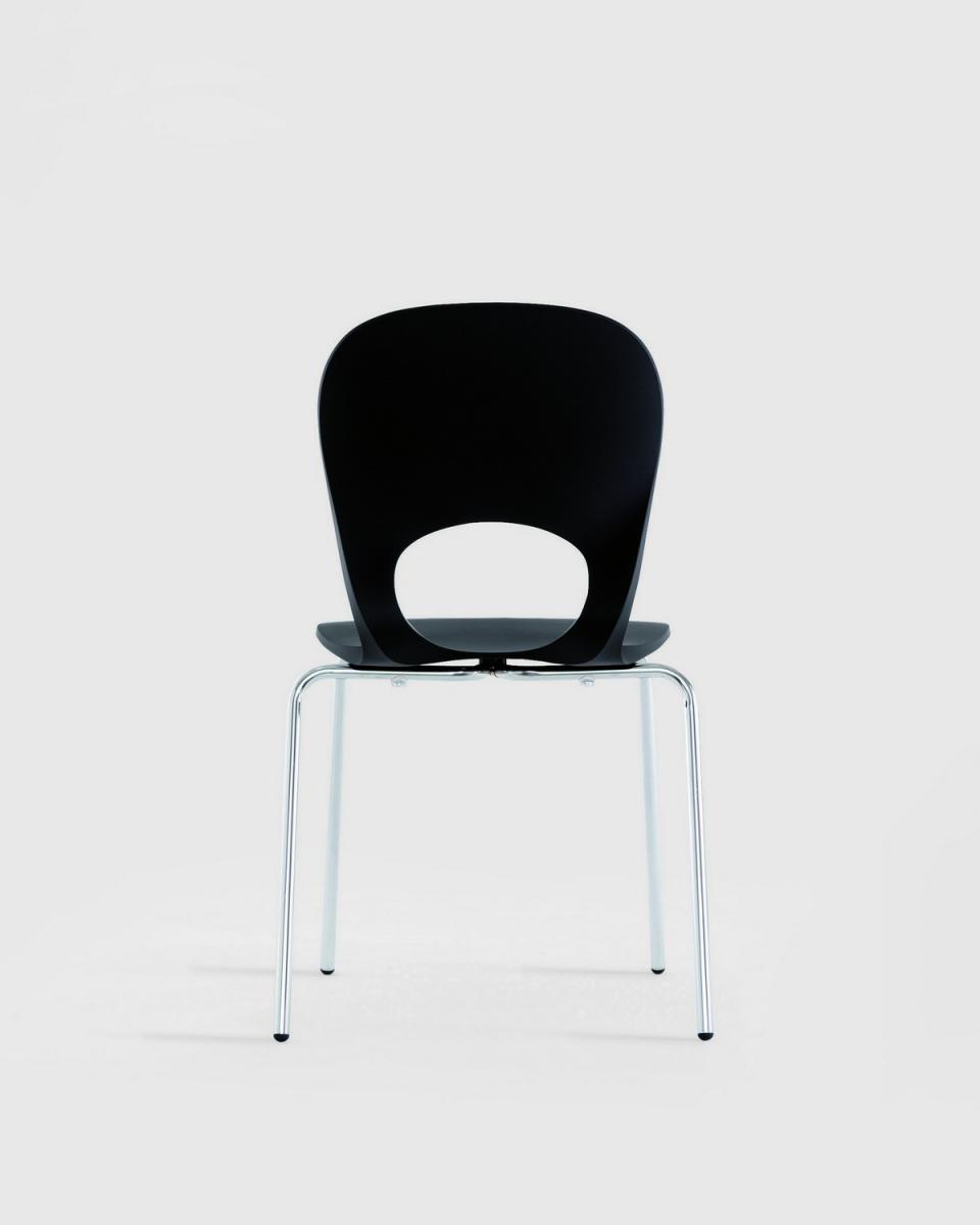 Стул    Pikaia  1