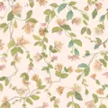 Обои для стен  Cole & Son Selection of Hummingbirds 124-3016 