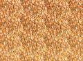 Ткань  Kirkby design Formation Decorative Weaves K5305-03 