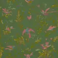 Обои для стен  Cole & Son Selection of Hummingbirds 124-1005 
