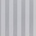 Ткань   Candy Stripes Elvan_Silver 