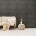 Обои для стен  Zinc Mineralogy Wallcoverings ZW148-04  4