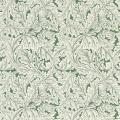 Обои для стен Clarke&Clarke William Morris Designs Wallpaper W0175-01 