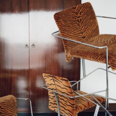 A Tiger In The Orangerie