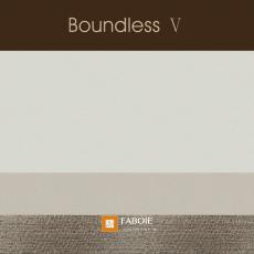 Boundless V