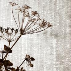 Impressions Wallcoverings