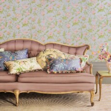 Selection of Hummingbirds