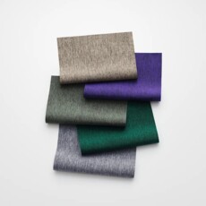 TelaMia by Giulio Ridolfo