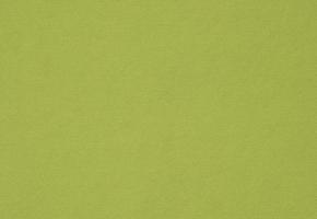 mezzola alta - acacia