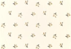 Karena Muslin/Wedgwood