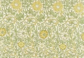 Pink & Rose Cowslip/Fennel