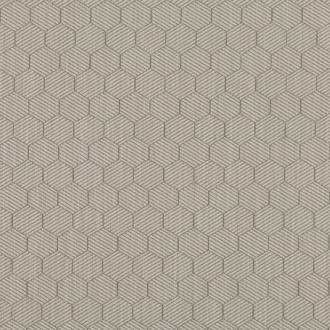 Black Edition Inachi 7647-02