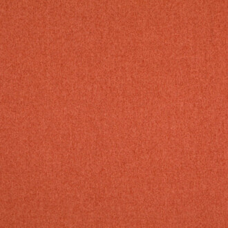 Nobilis Everest – ASG 10707_53