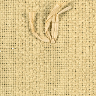  Expression LZ_883_02