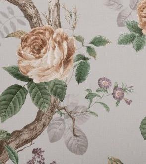 Andrea Rossi Cavolli 54421_6