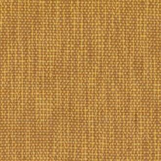 Elitis Acosta formosa-od-139-22