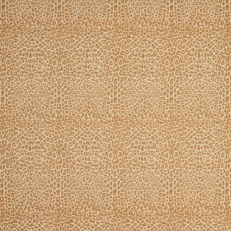  Icones Fauve_10945-19