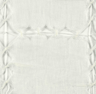  Expression LZ_885_01