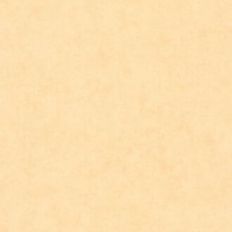 Caselio Beton 2 101483100