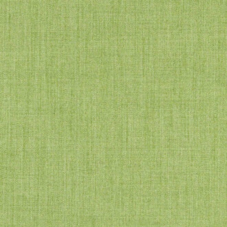 Nobilis Elias – ASG 10614_75