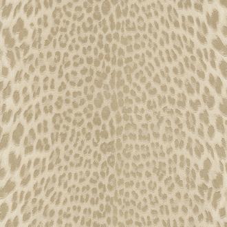 Roberto Cavalli No.9 21043