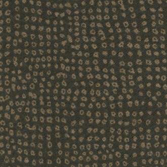  Modern Legacy DE13516