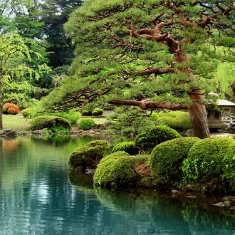 Photowall Пейзажи calm-zen-lake-and-bonzai-trees-in-tokyo-garden