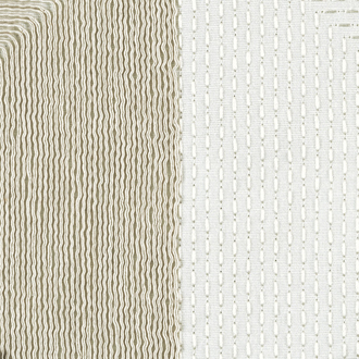  Expression LZ_882_02