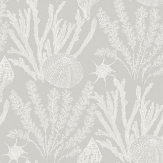 Paper & Ink Coastal Chic CO11807