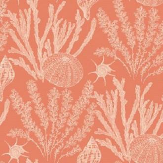 Paper & Ink Coastal Chic CO11801