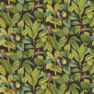 Ortograf Oasis OR 32719