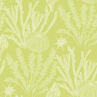 Paper & Ink Coastal Chic CO11814