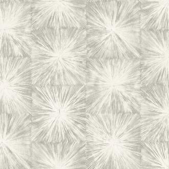 Carl Robinson Edition 9 91504 CB