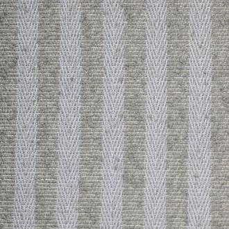  Berbero badida_col20