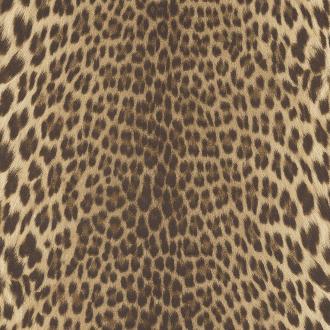 Roberto Cavalli No.9 21041