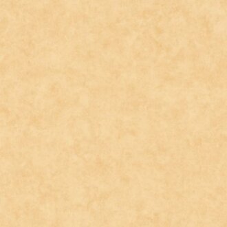 Caselio Beton 2 101481515