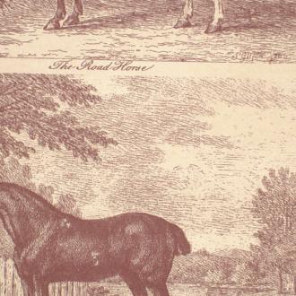 Lewis & Wood Classical Wallpapers lw95177