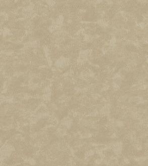 Bernardo Bartalucci Gabriella 84134_7