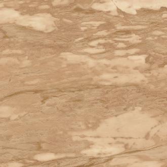 Roberto Cavalli No.9 21029